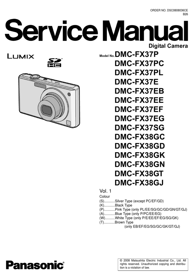 Panasonic Lumix DMC-FX37P User manual