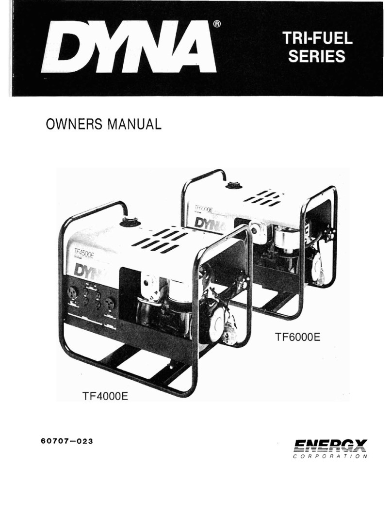 Energx Dyna TF6000E owner's manual