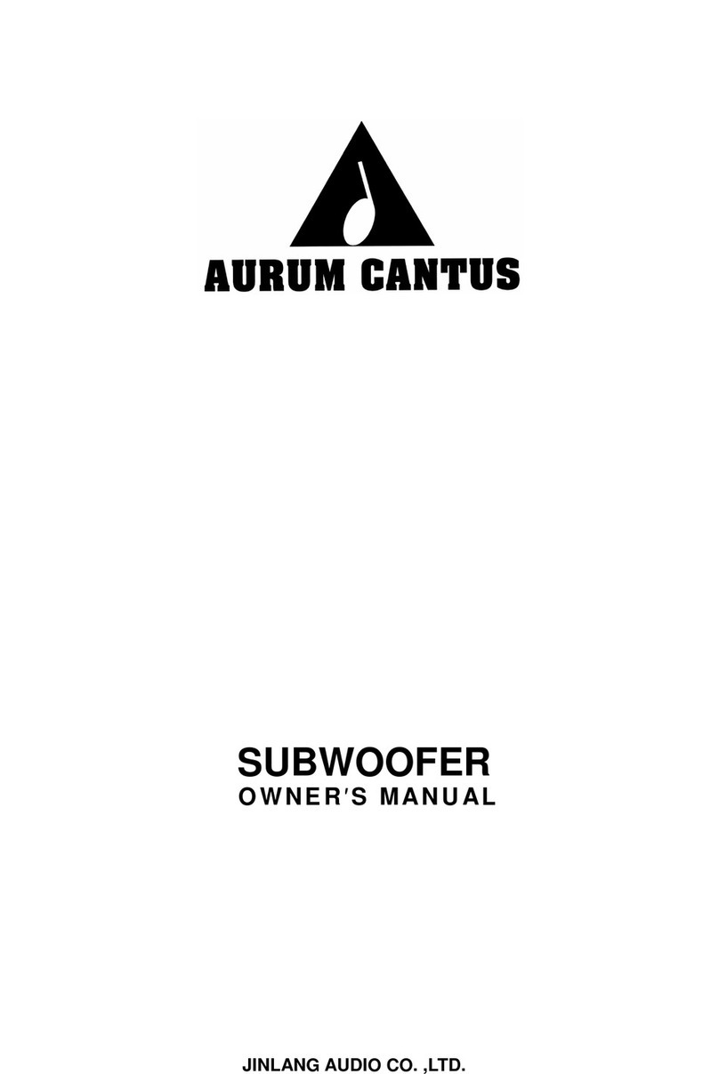 Jinlang Audio Aurum Cantus SW-10 User manual