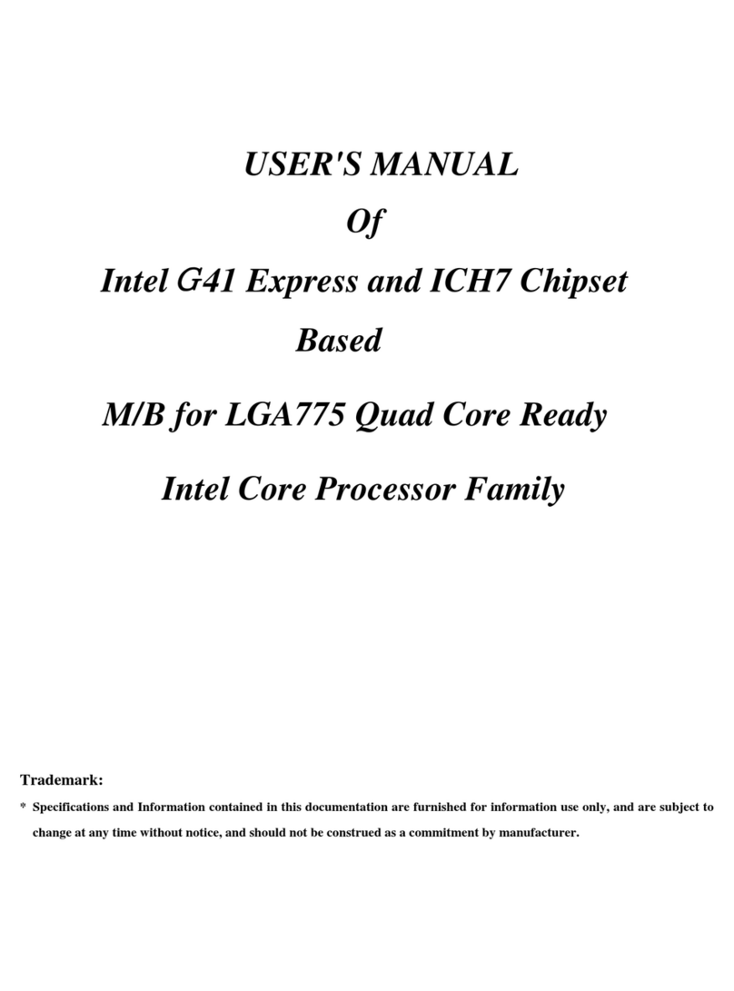 DFI BI G41-T33B user manual