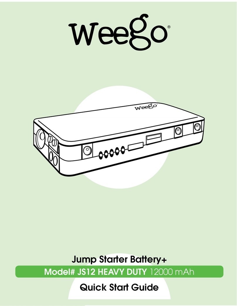 Weego JS12 User manual