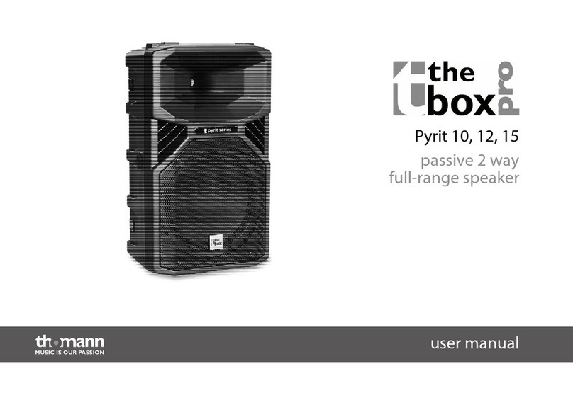 thomann Pyrit T10 user manual