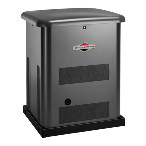 Briggs & Stratton 040517-00 User manual