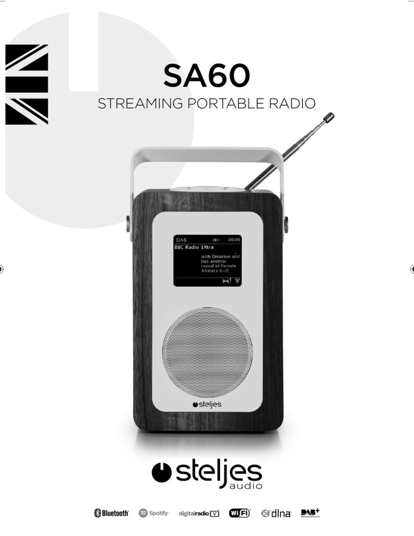 Steljes Audio SA60 user guide