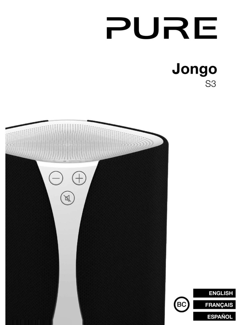 PURE Jongo S3 User manual