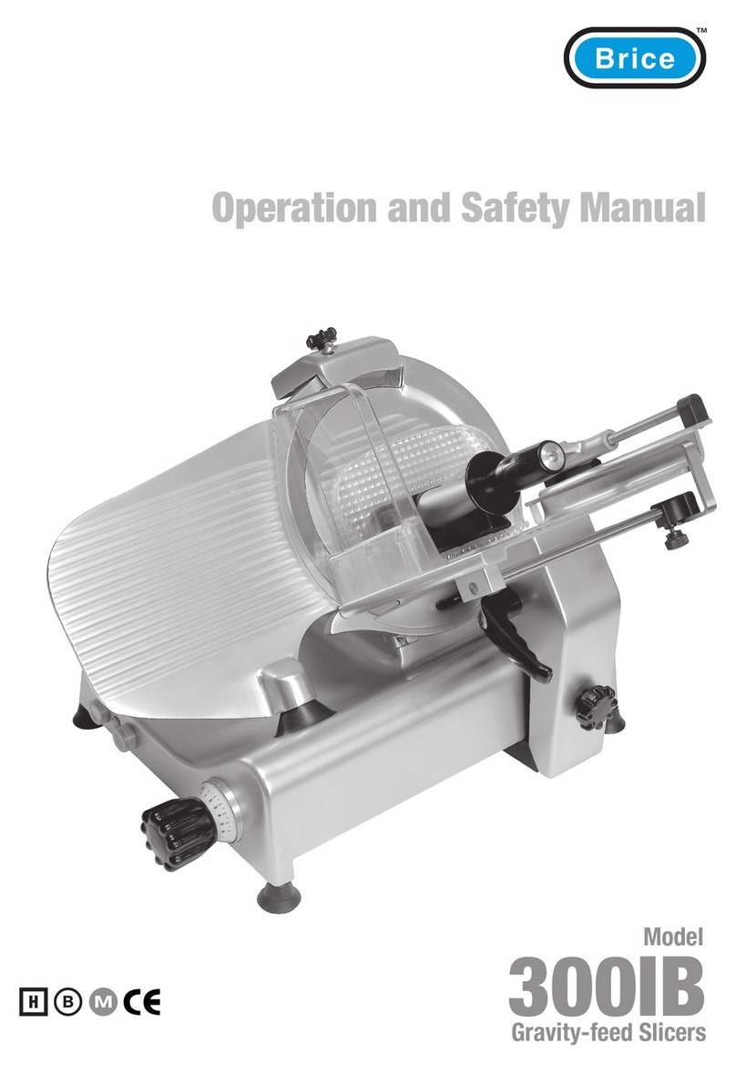 Brice 300IB Use and care manual