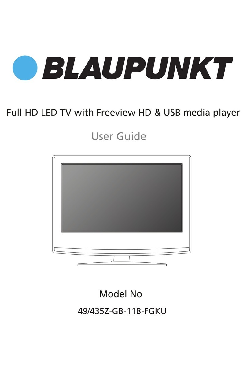 Blaupunkt 49/435Z-GB-11B-FGKU User manual