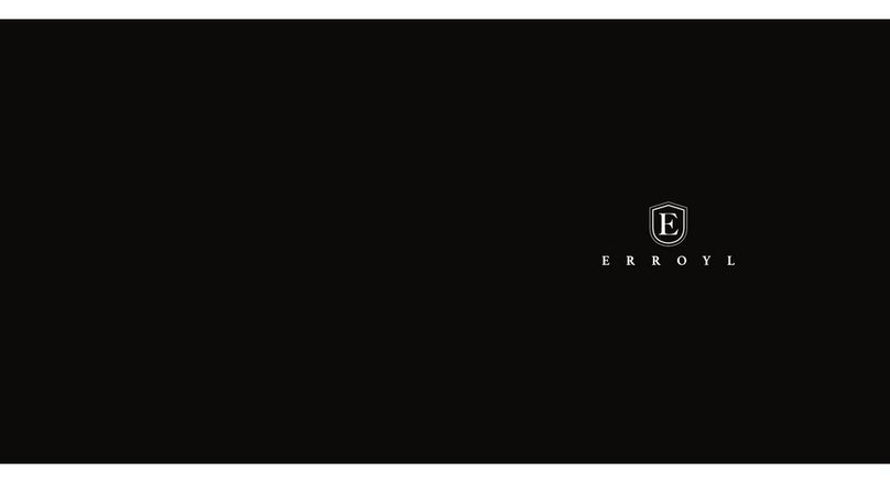 ERROYL Aurum Booklet
