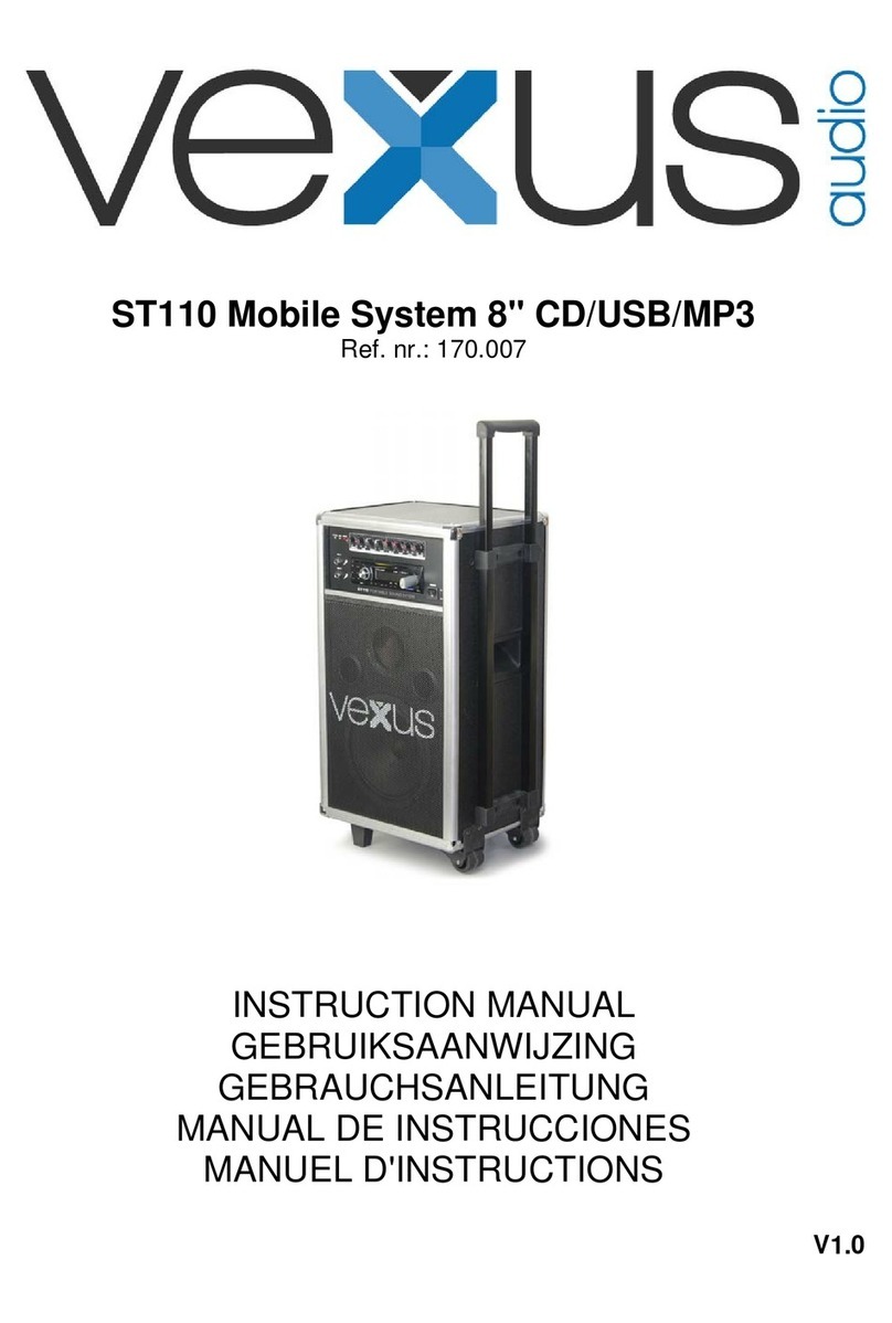 Vexus Audio ST110 User manual