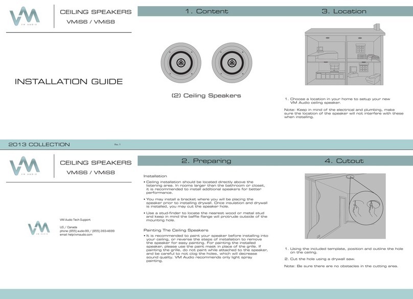 VM Audio VMiS6 installation guide