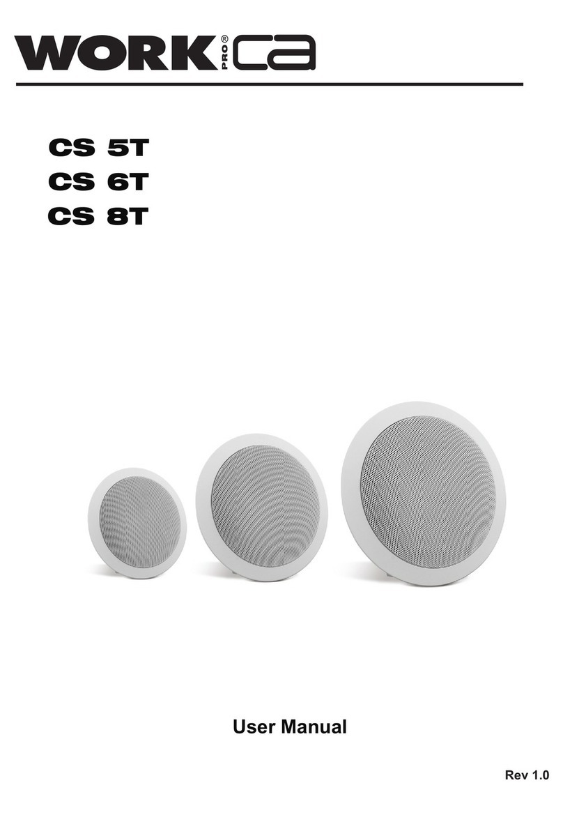 WorkproCA CS 5T User manual