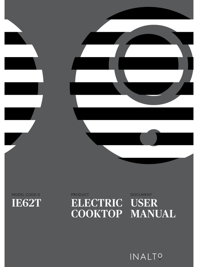 Inalto IE62T User manual