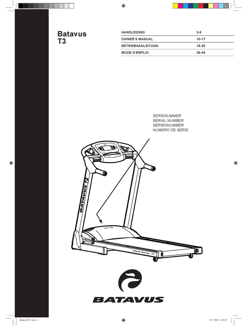 Batavus T3 owner's manual