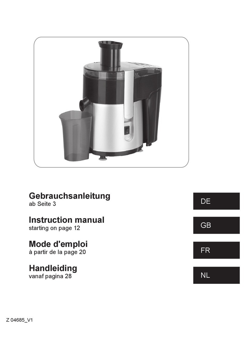 DS Produkte XJ-12403 instruction manual