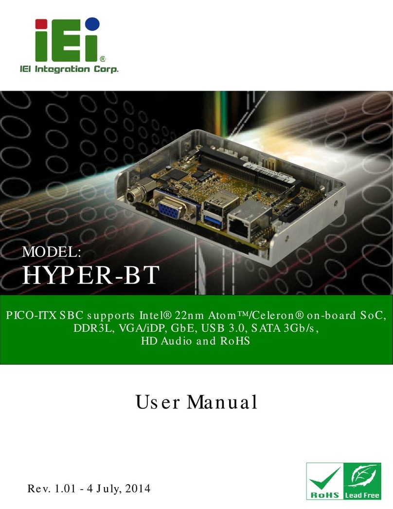 IEI Technology HYPER-BT User manual