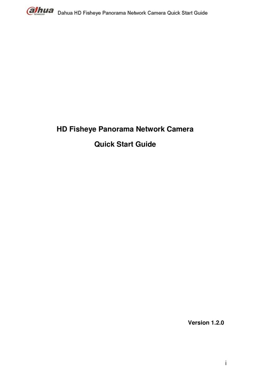 Dahua HD Fisheye User manual