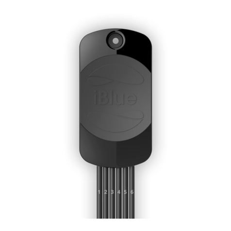 i-Blue immobilizer user guide