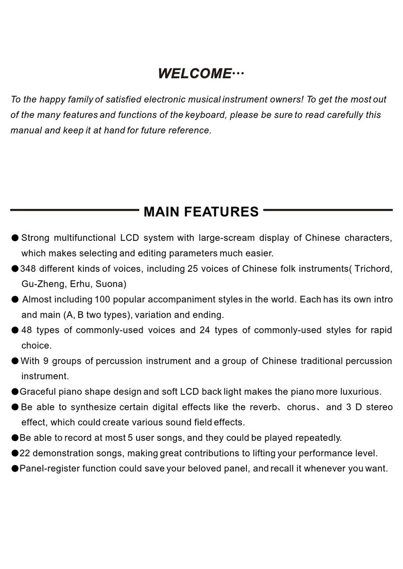 Worlde W220 User manual