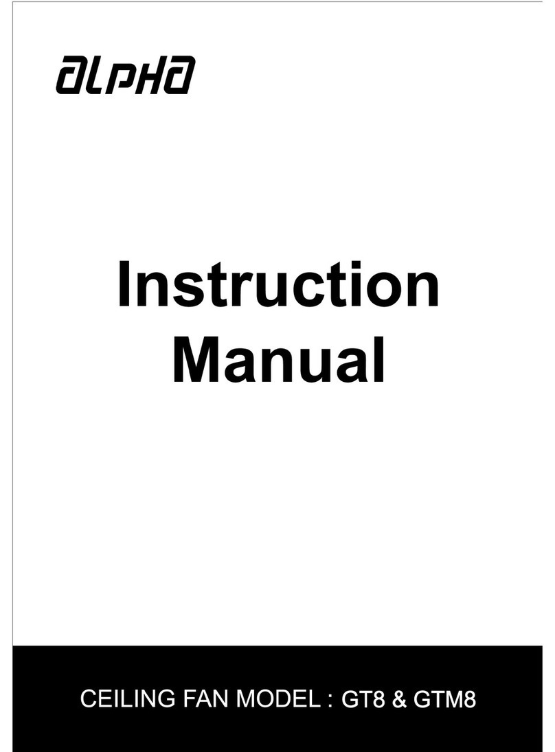 Alpha GT8 User manual