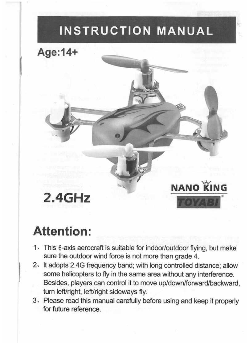 Toyabi Nano King User manual