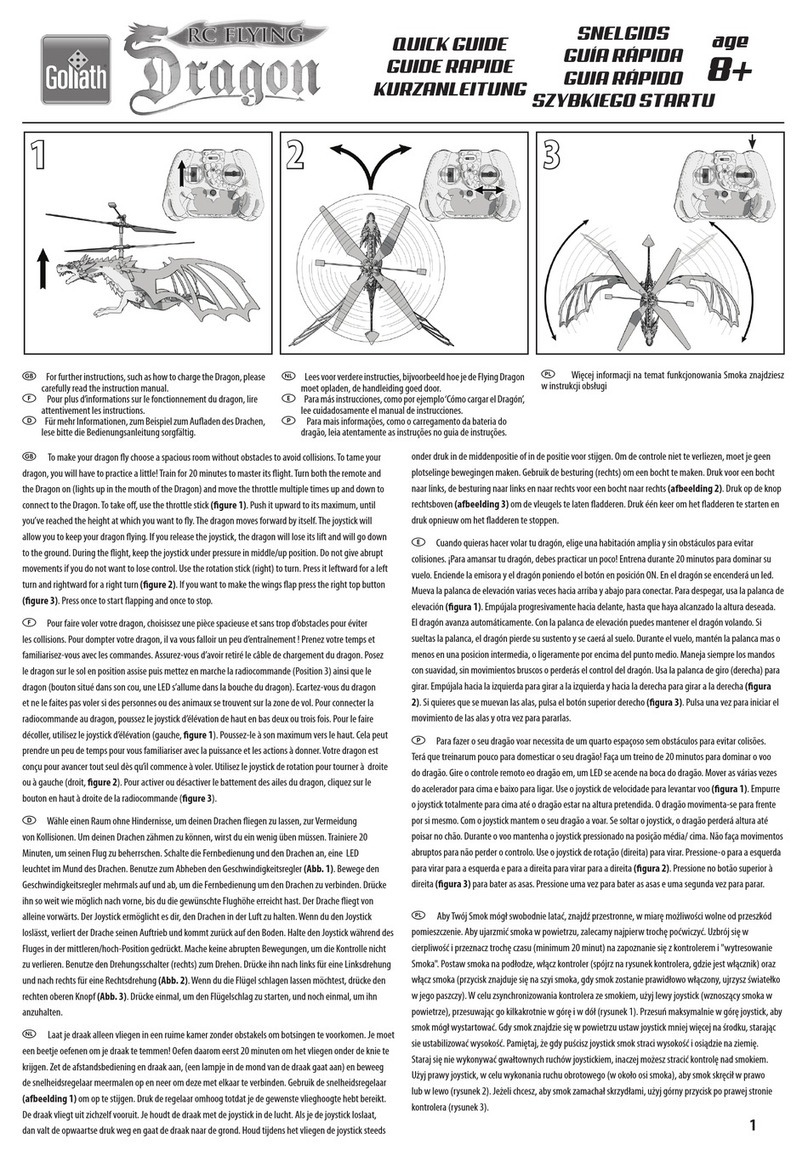 goliath RC flying dragon quick guide
