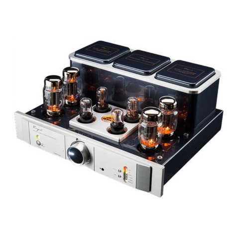 Cayin A-88T User manual
