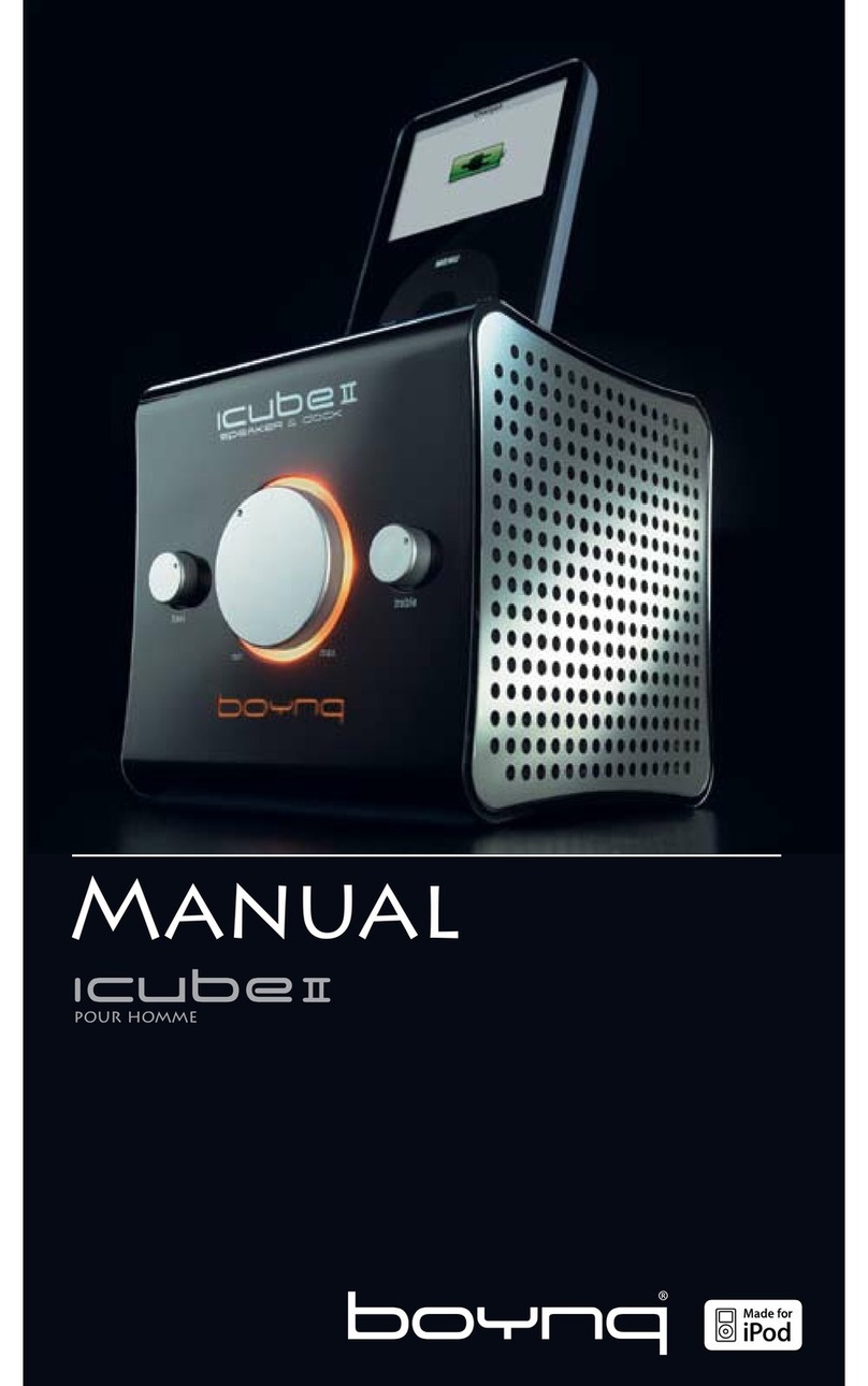 Boyng Icube II User manual