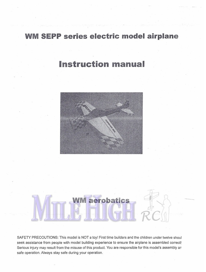 WM aerobatics YAK55M SEPP instruction manual