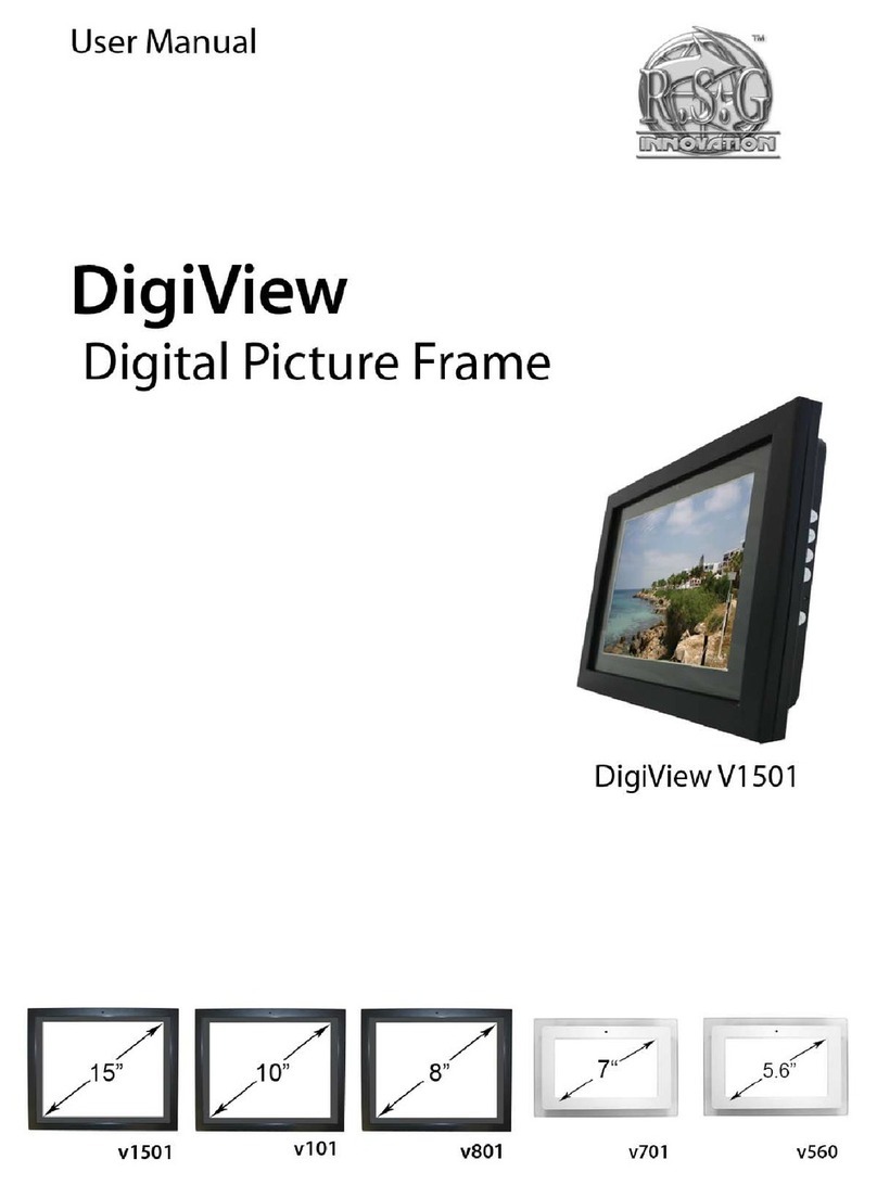 Red Sky Global DIGIVIEW User manual