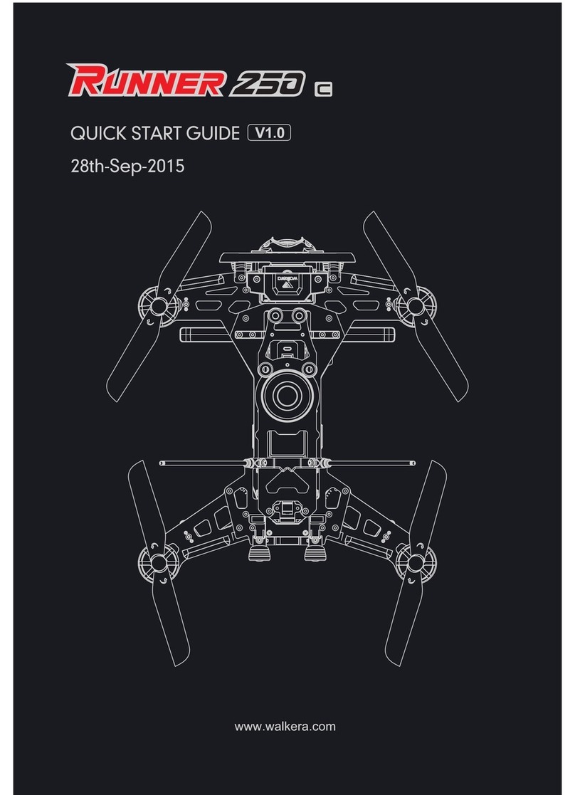 Walkera Runner 250 User manual