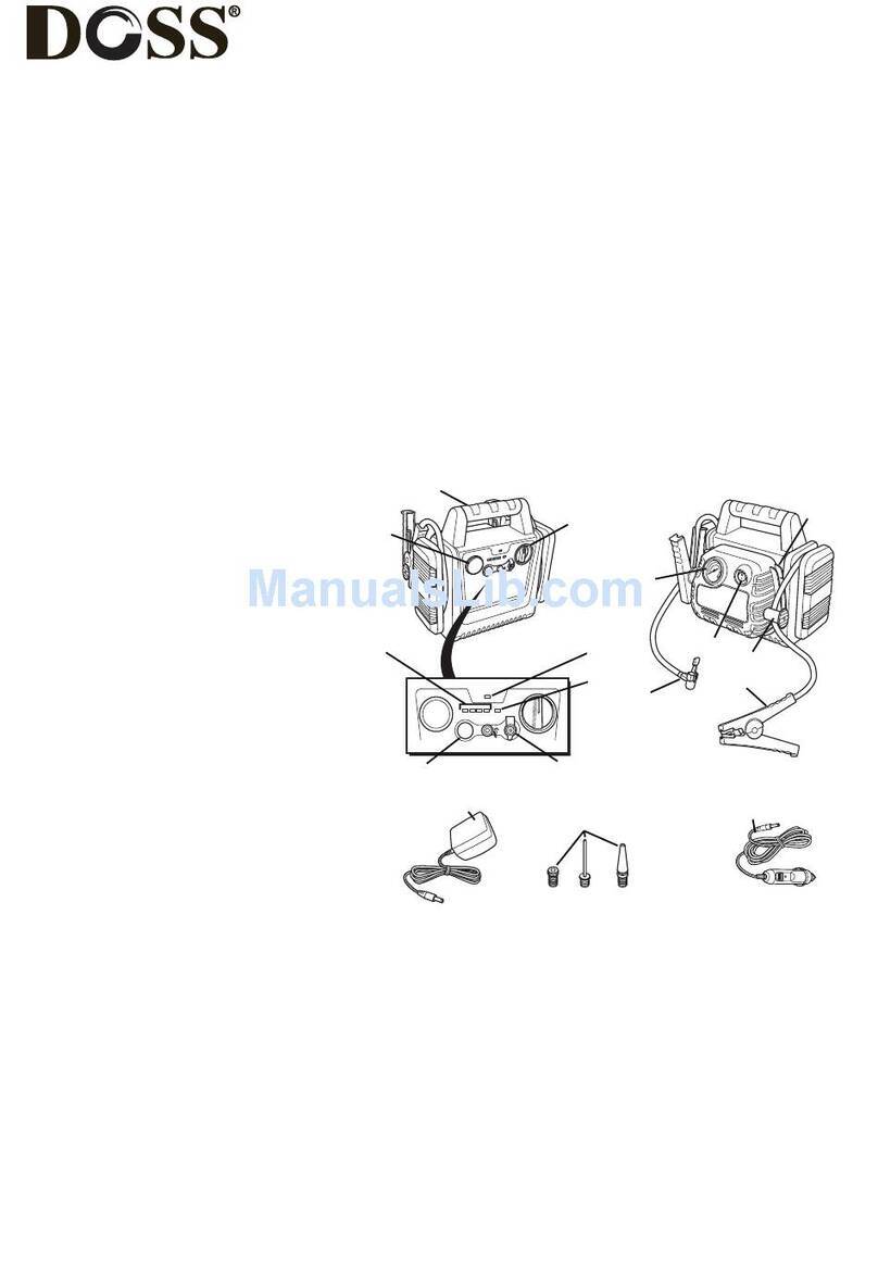 Doss DPS300 user manual