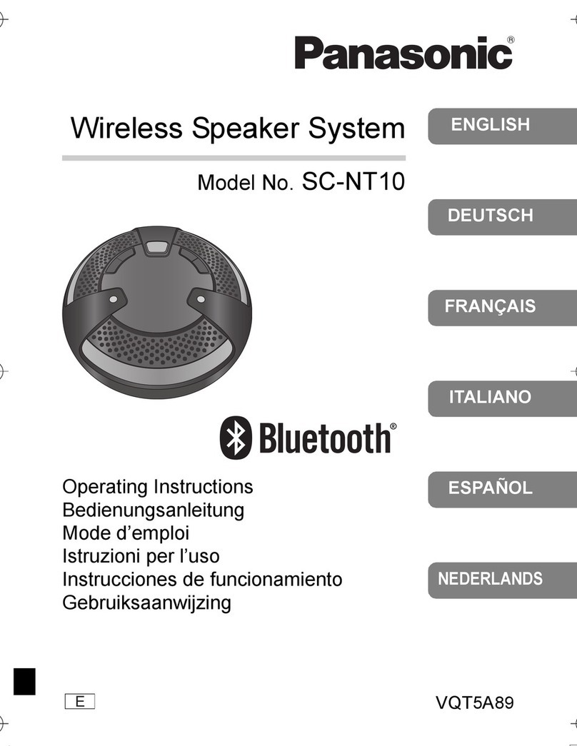 Panasonic SCNT10 User manual