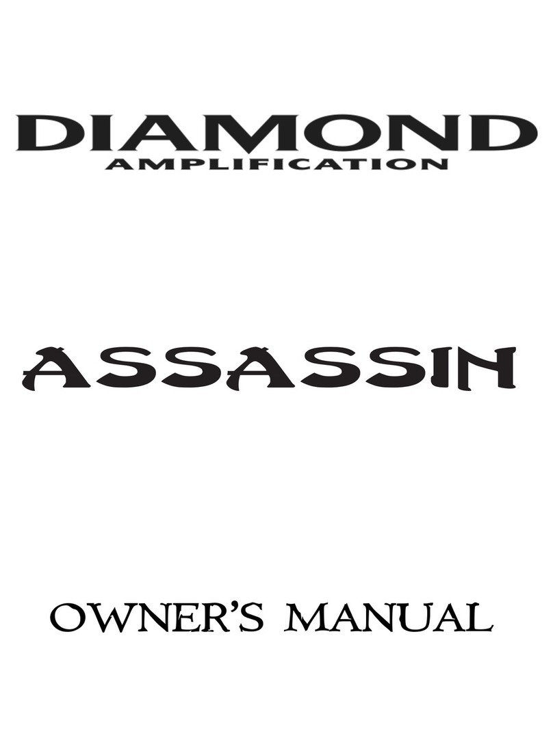 Diamond Amplification Assassin owner's manual