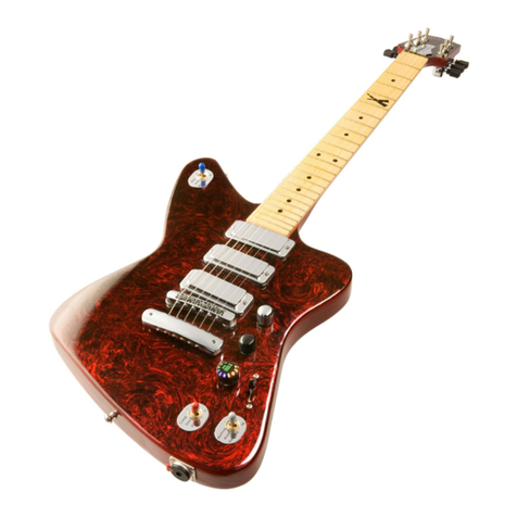 Gibson Firebird X owner's manual