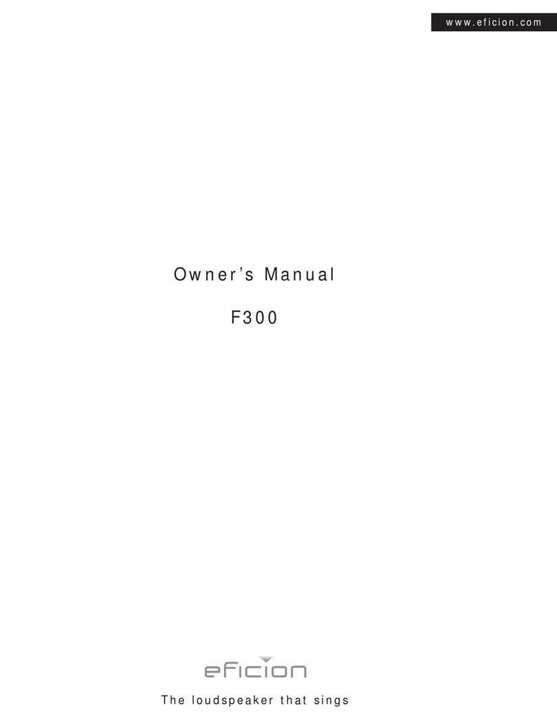 Eficion F300 owner's manual