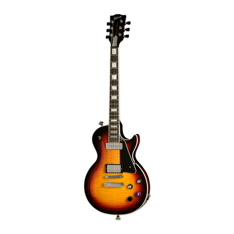 Gibson 2010 Les Paul Standard LTD ED owner's manual