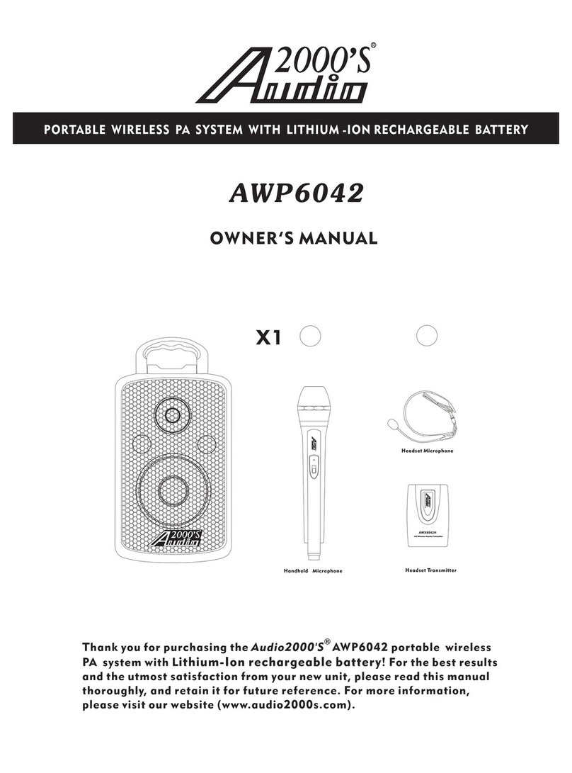 Audio 2000 AWP6042 owner's manual