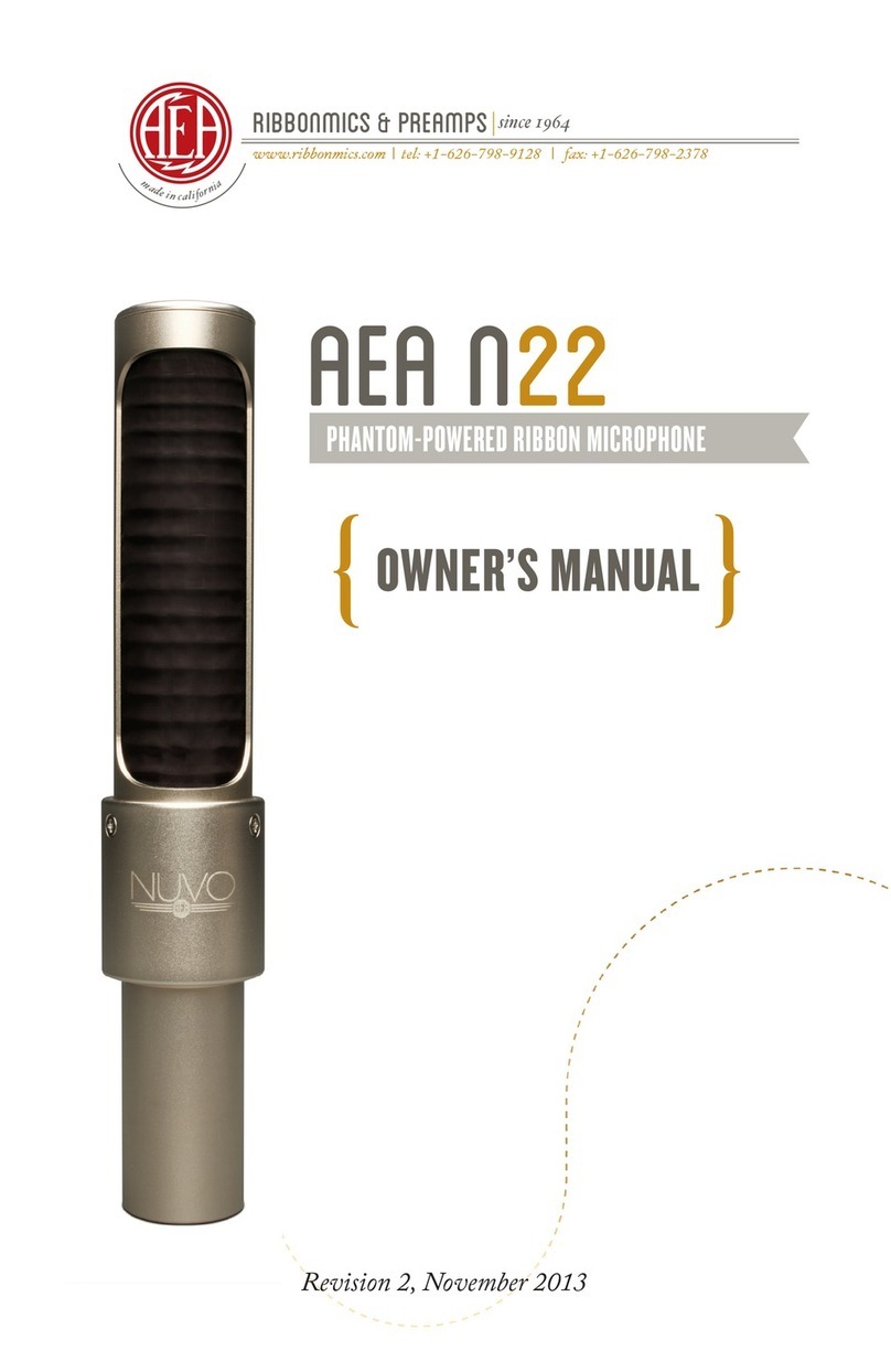 AEA AEA N22 owner's manual