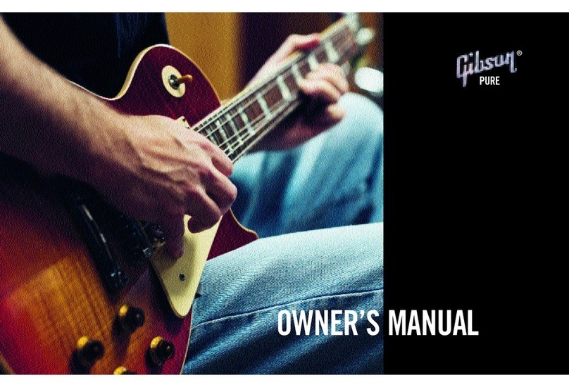 Gibson Pure owner's manual