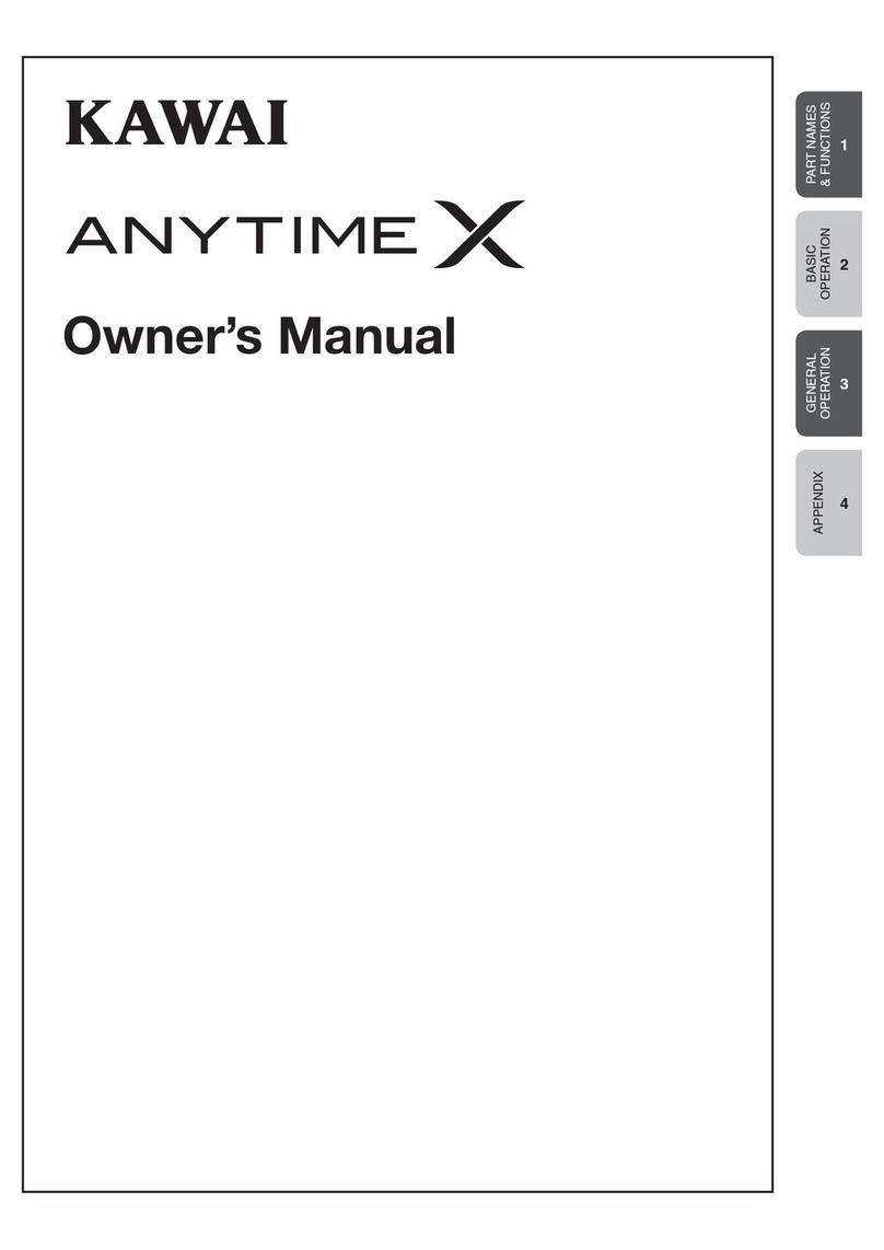 Kawai AnytimeX User manual