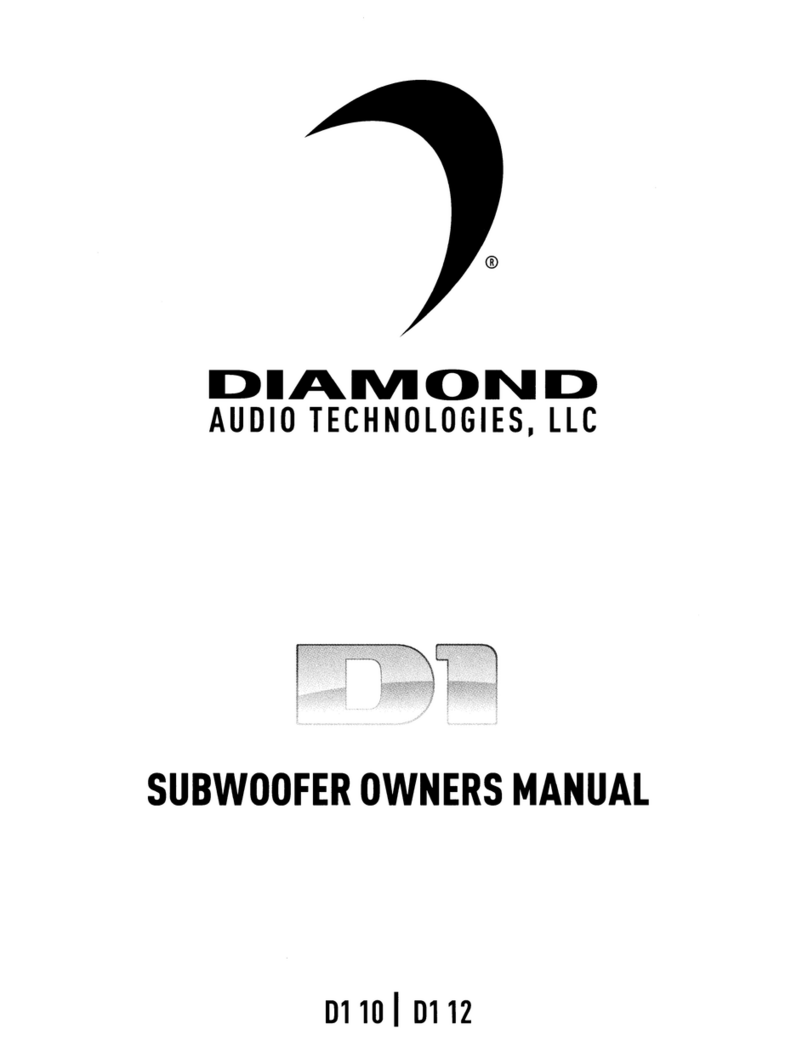 Diamond Audio Technology D1 owner's manual
