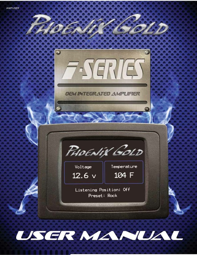 Phoenix Gold iAmp user manual