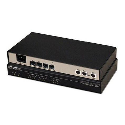 Patton SmartNode SN4960 User manual