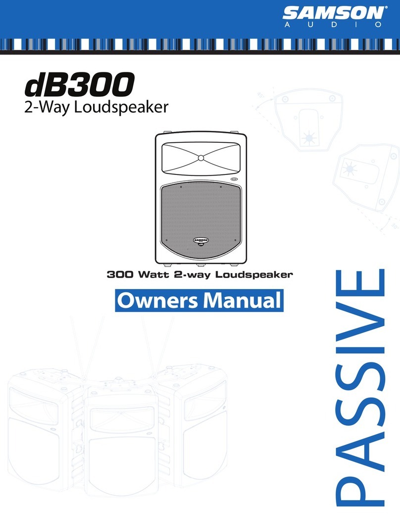 Samson dB300 User manual