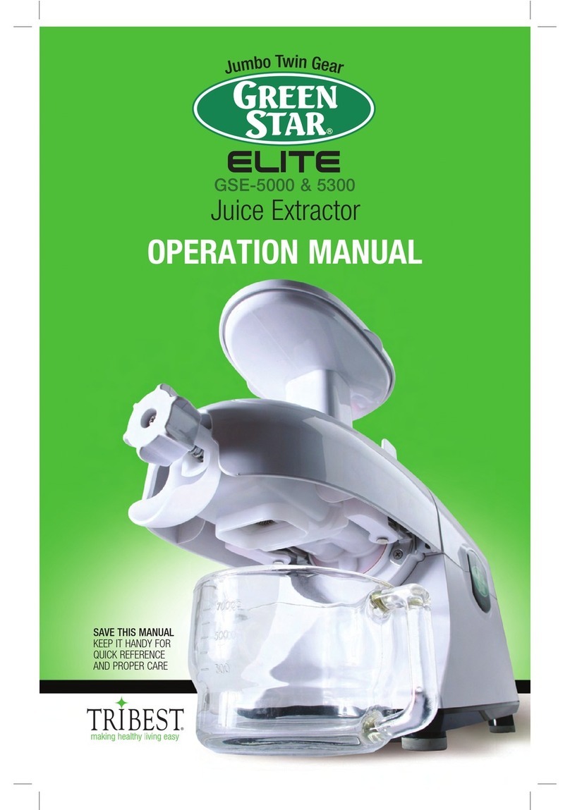 Green Star GSE-5300 Operation manual