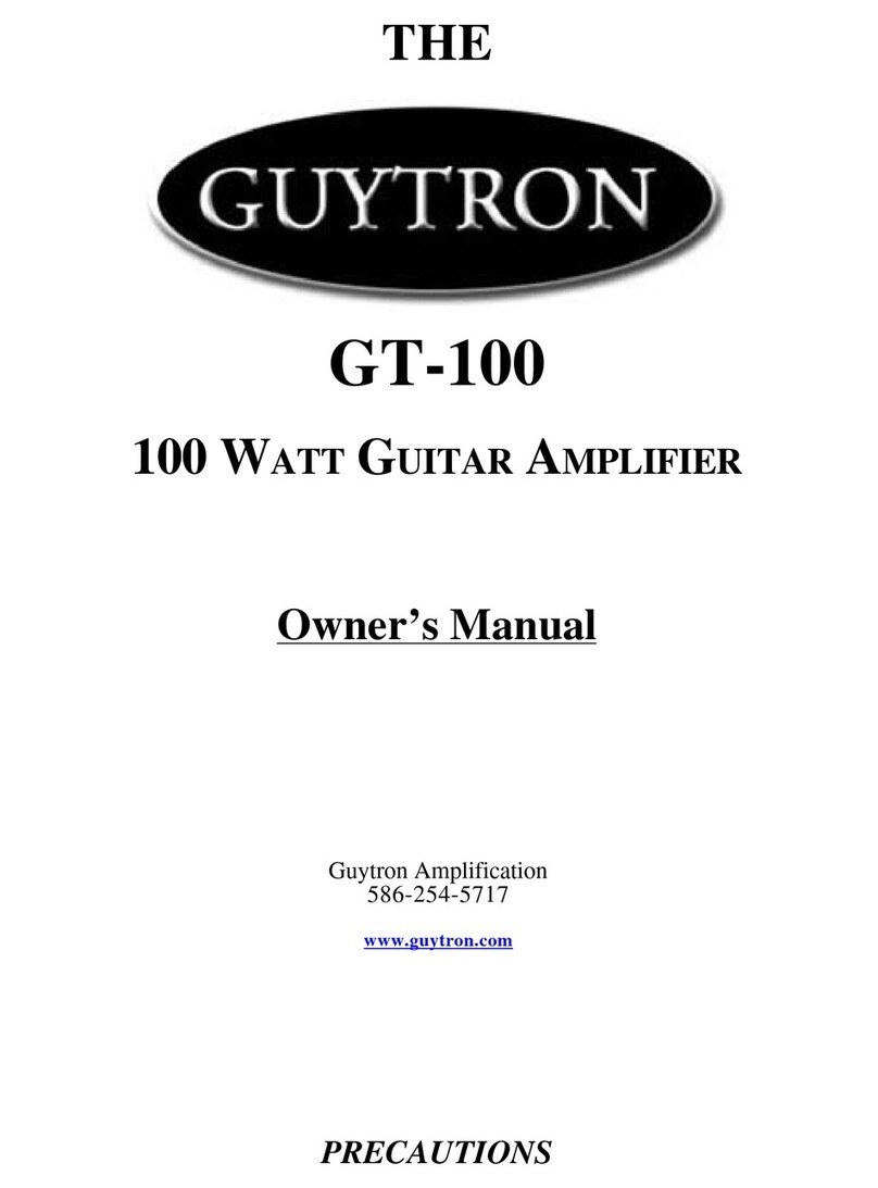 Guytron Gt-100 owner's manual
