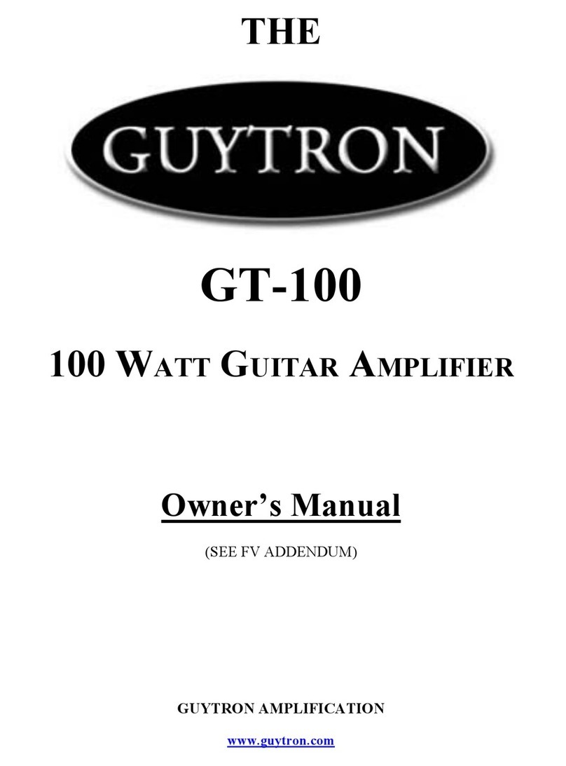 Guytron Gt-100 owner's manual
