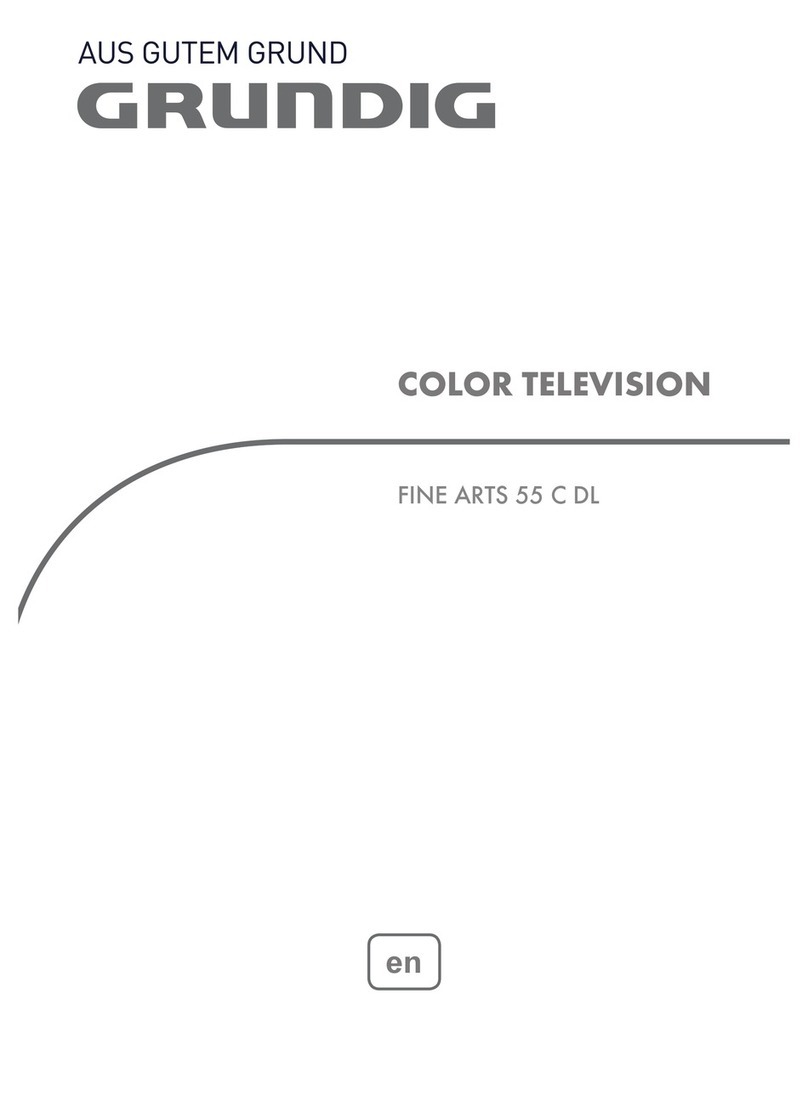 Grundig FINE ARTS 55 C DL User manual