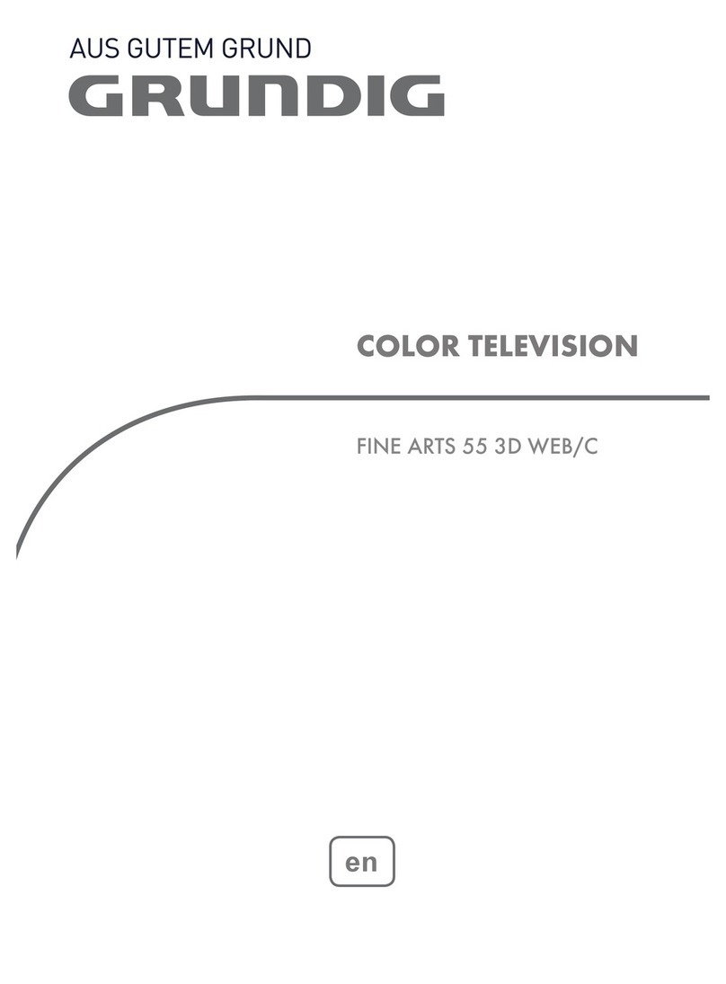 Grundig FINE ARTS 55 3D WEB-C User manual
