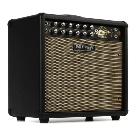 Mesa/Boogie RECTO-VERB 25 User manual